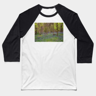 Margam Forest Bluebells Baseball T-Shirt